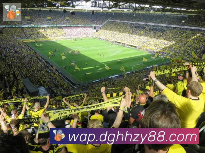 爱游戏ayx发展历程